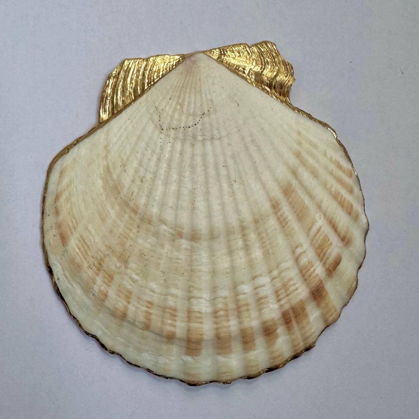 Blue Vine Shell Ring Dish, Handmade Scallop Trinket Dish, Coastal Boho Decor
