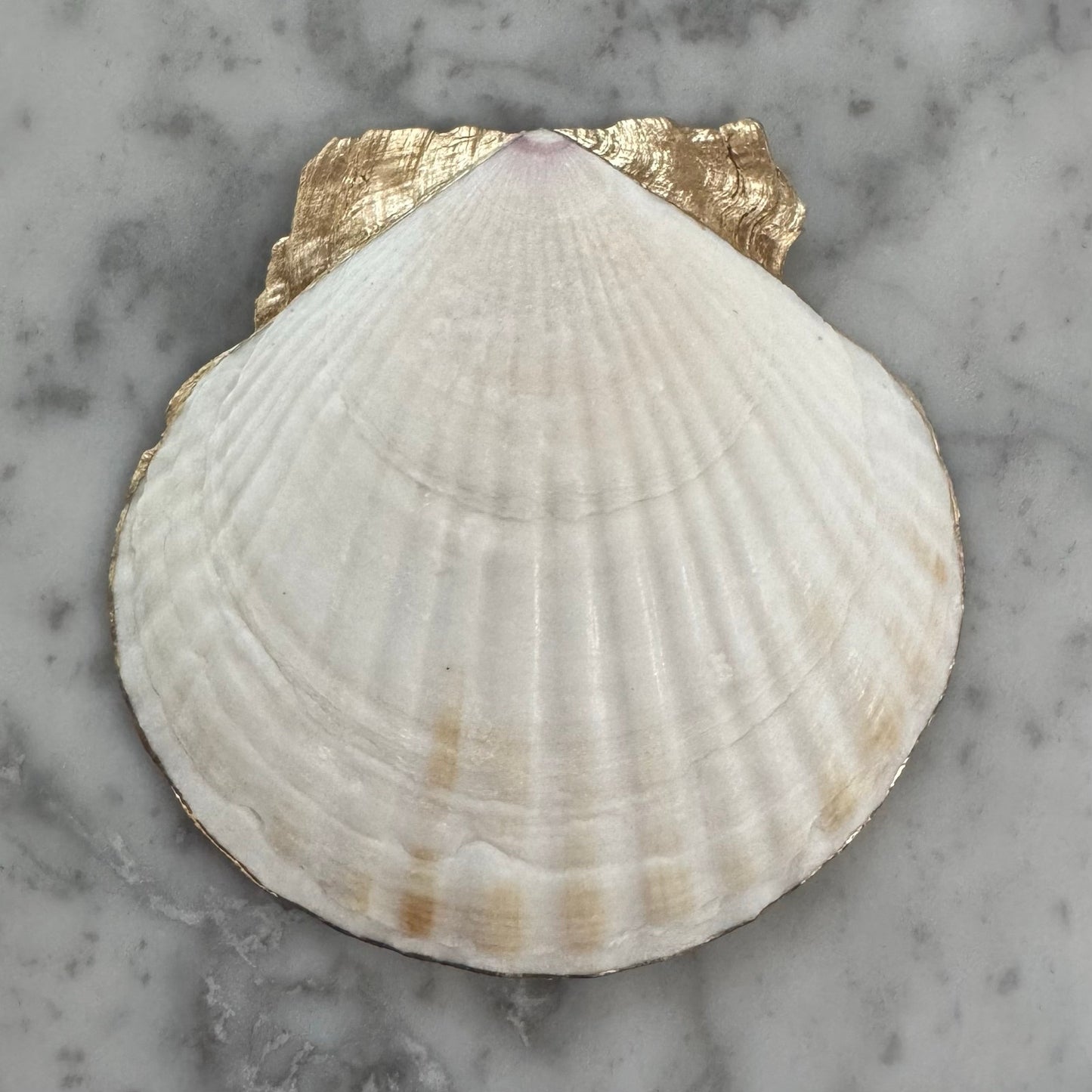Additional view of watercolor lemon botanical shell trinket dish