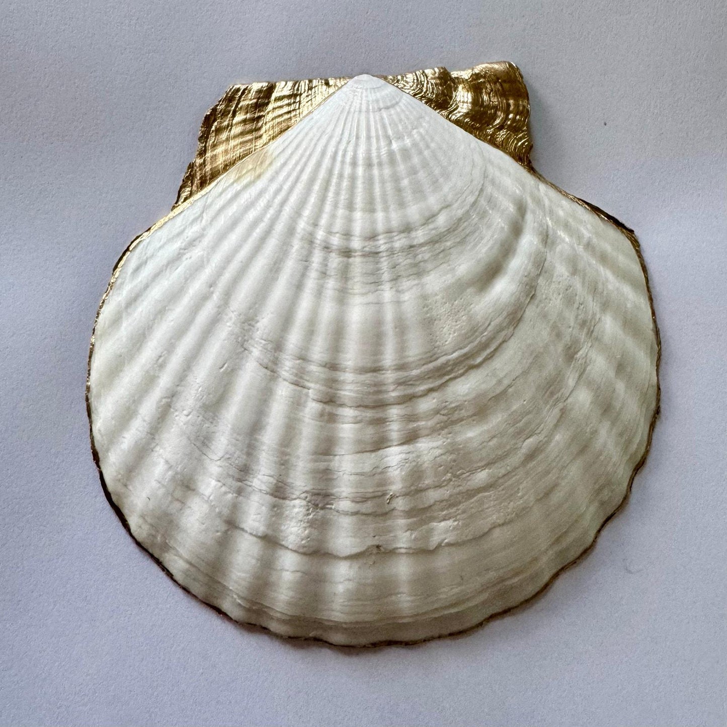 Nautical Lighthouse Seashell Trinket Dish, Coastal Decor