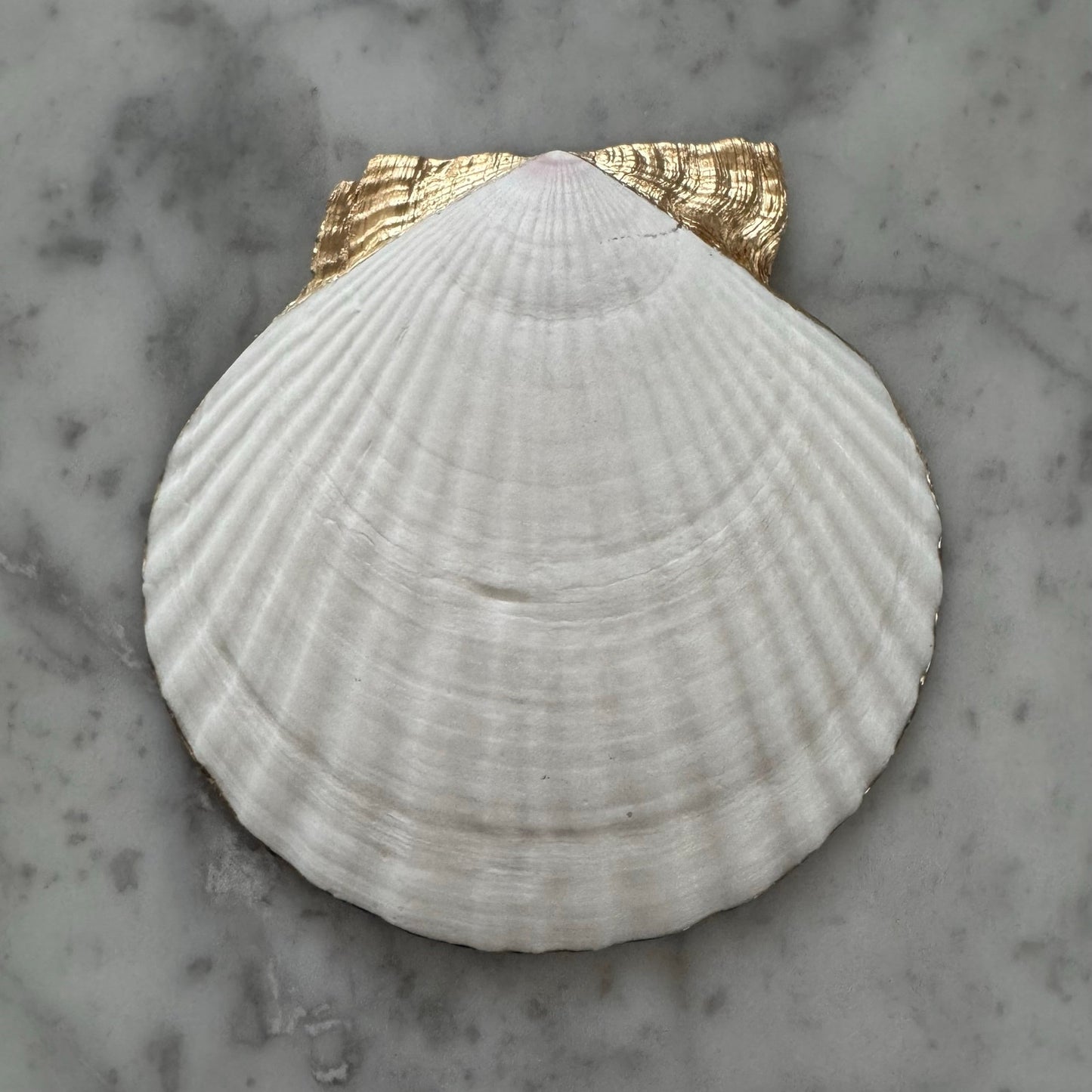 Blue & yellow mediterranean tile shell trinket dish shown from another angle