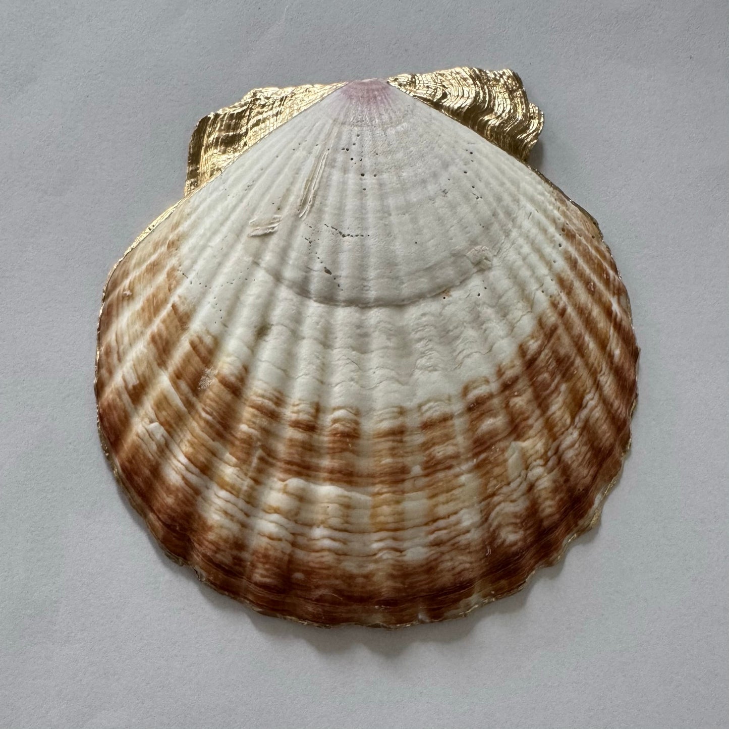 Additional view of jacobean floral shell trinket dish