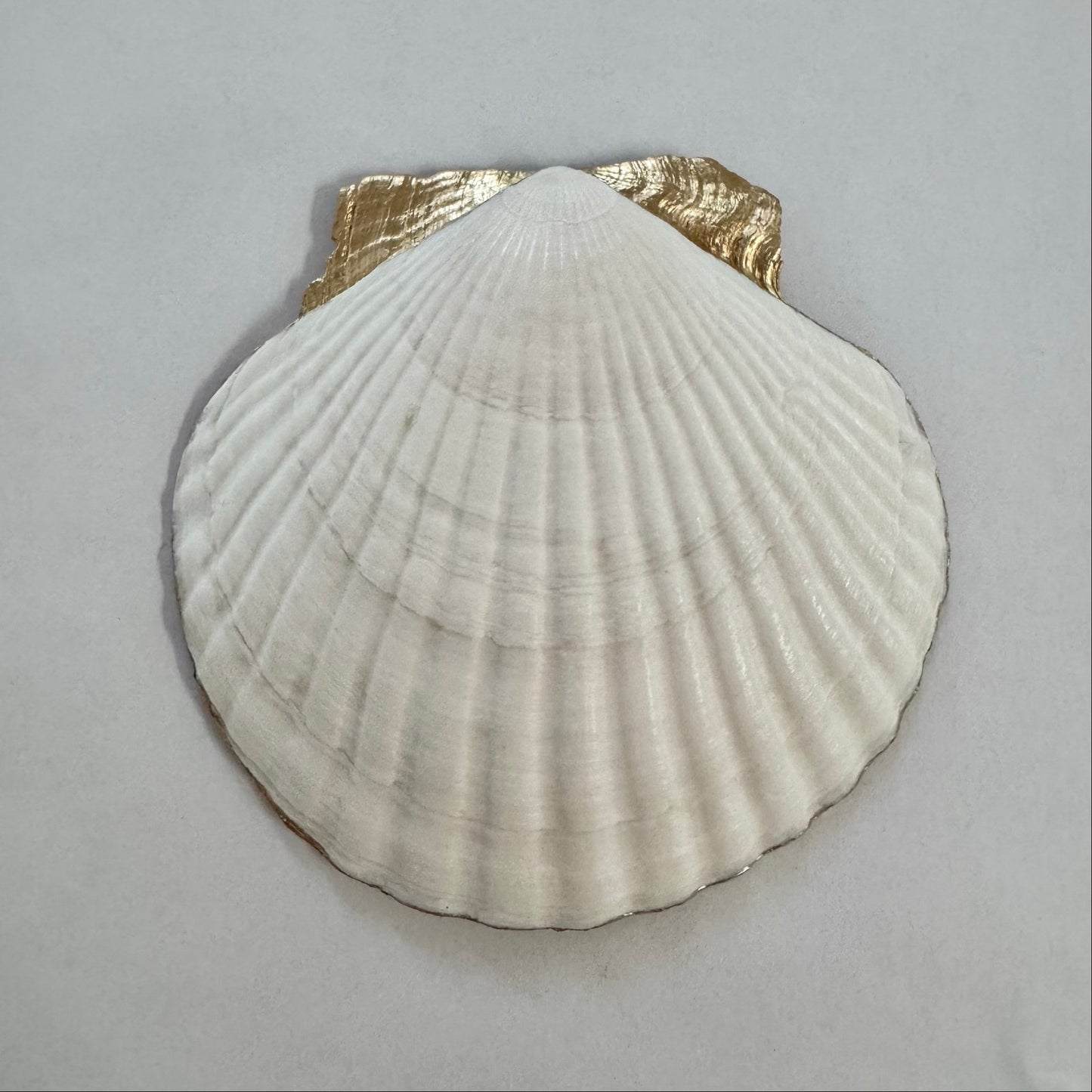 Hydrangea Jewelry Dish | Floral Decorative Shell Trinket Dish | Coastal Decor