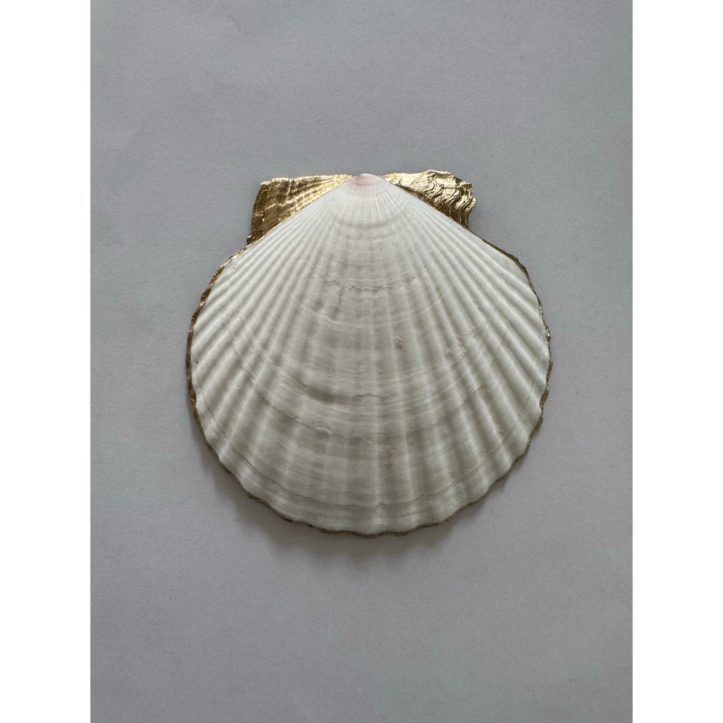 Additional view of green fern botanical shell trinket dish