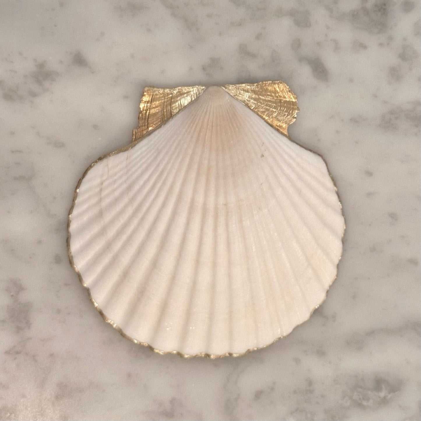 Mr & Mrs Eucalyptus Shell Ring Dish, Engagement Gift, Bridal Trinket Dish