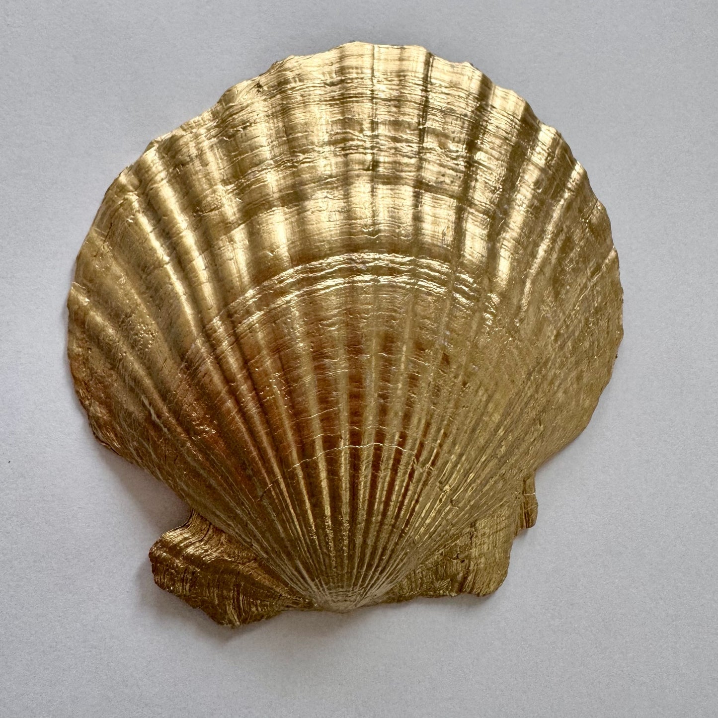 Vintage flower pot shell trinket dish product view