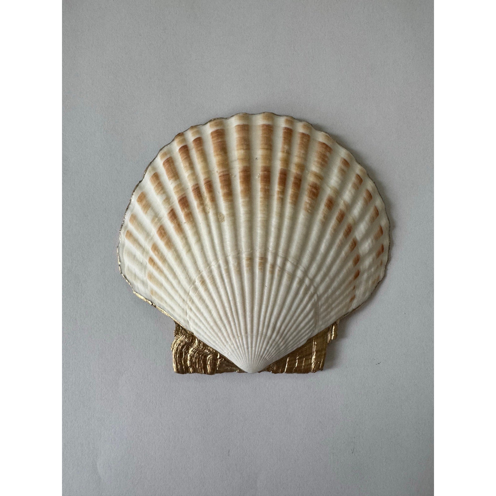 Camellia floral shell trinket dish product view