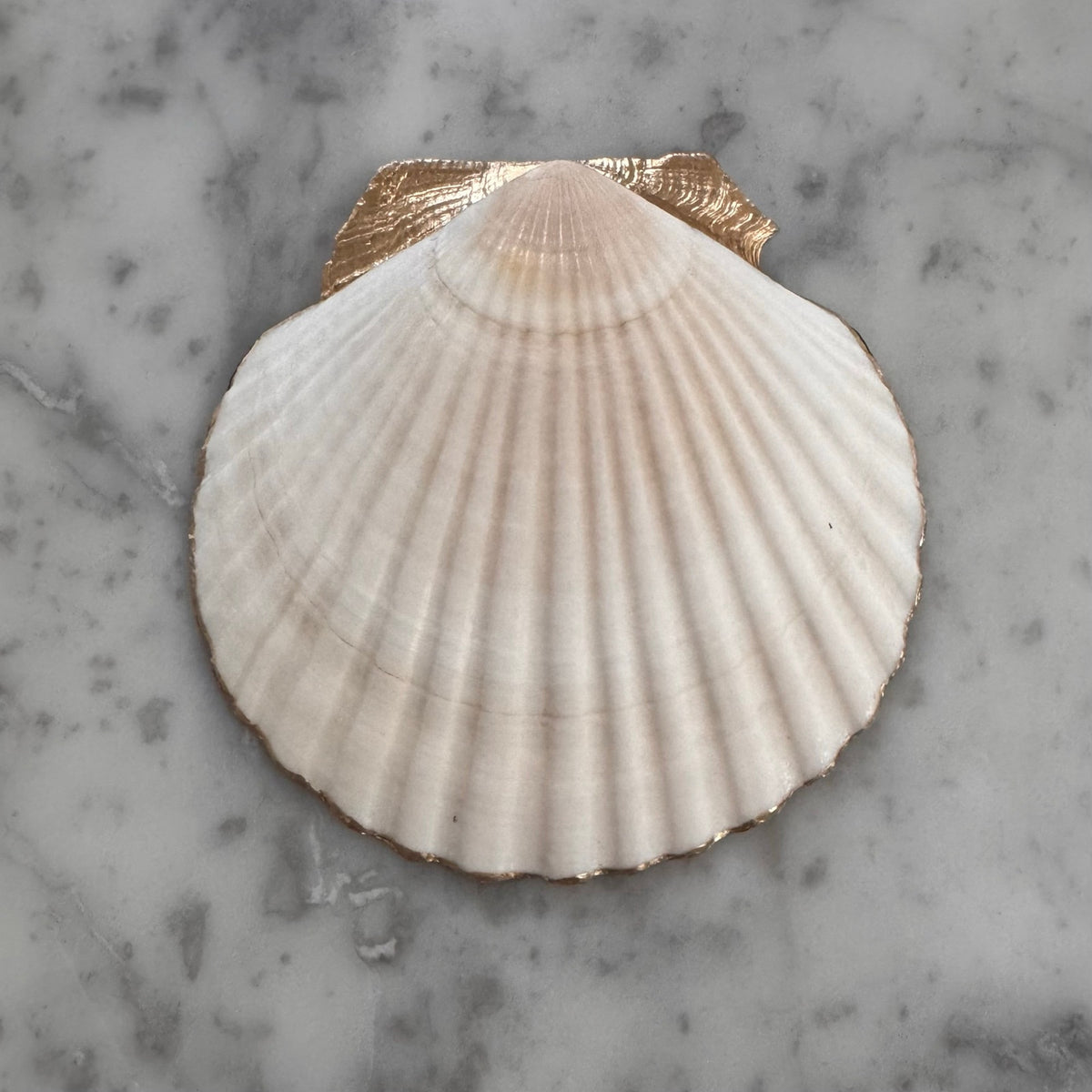Lemon Shell Trinket Dish, Blue Yellow Mediterranean Ring Dish