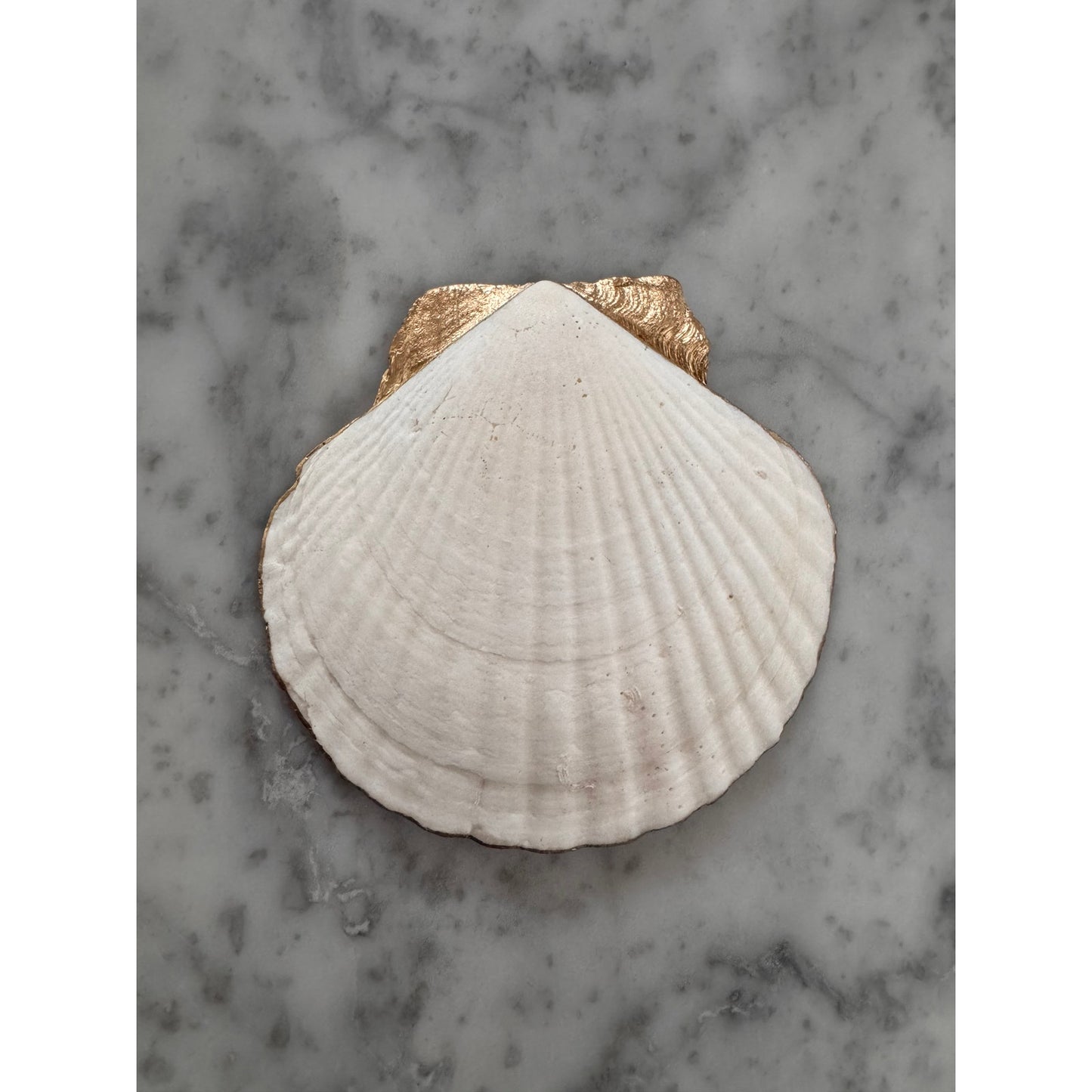 Additional view of blue chinoiserie floral shell trinket dish