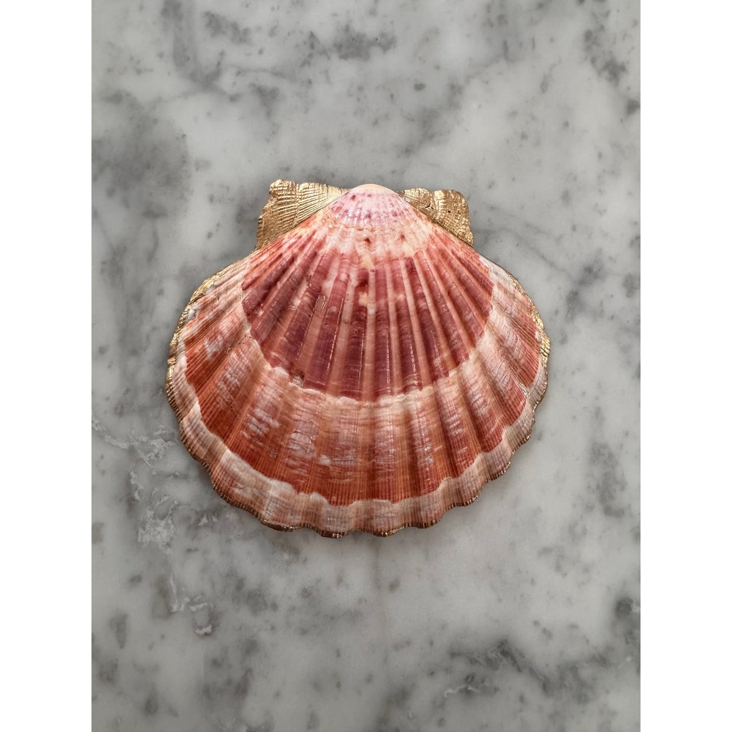 Additional view of coastal watercolor starfish shell trinket dish