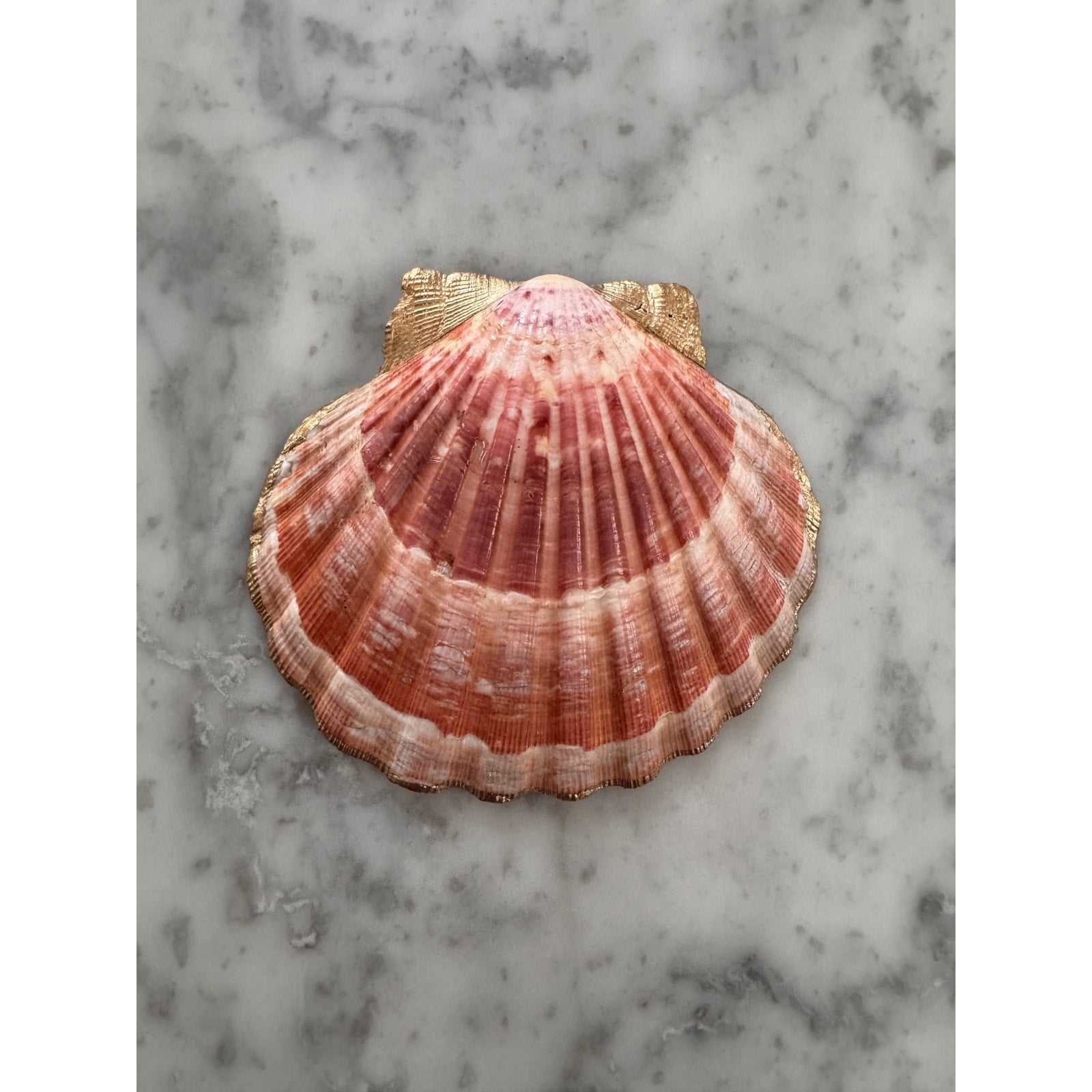 Additional view of coastal watercolor starfish shell trinket dish