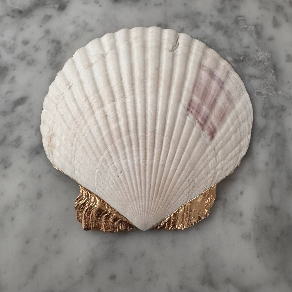 Chinoiserie Ginger Jar Lemon Tree Shell Ring Dish, Italian Summer Decor