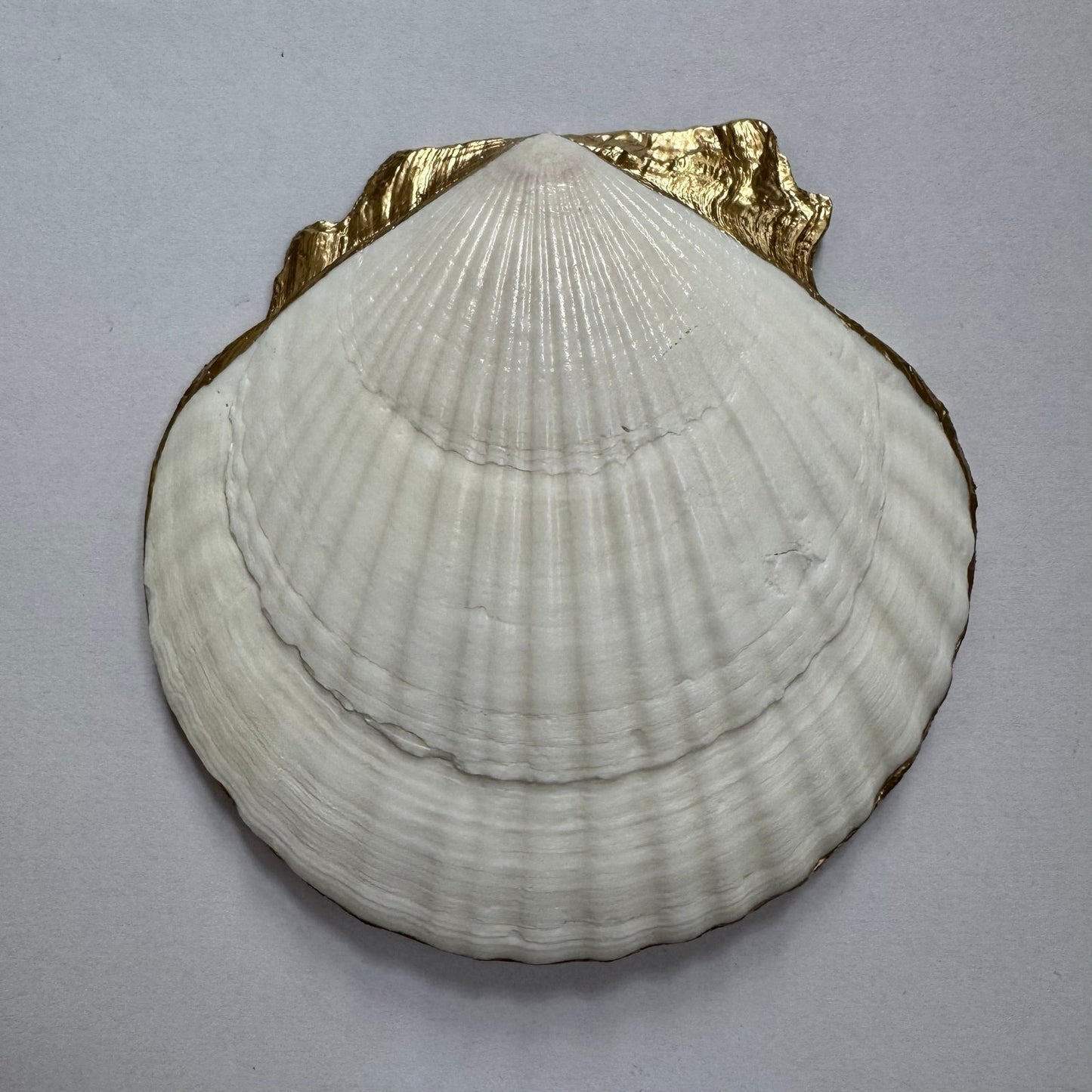Mediterranean Trinket Jewelry Dish with Olives | Shell Jewelry Ring Holder