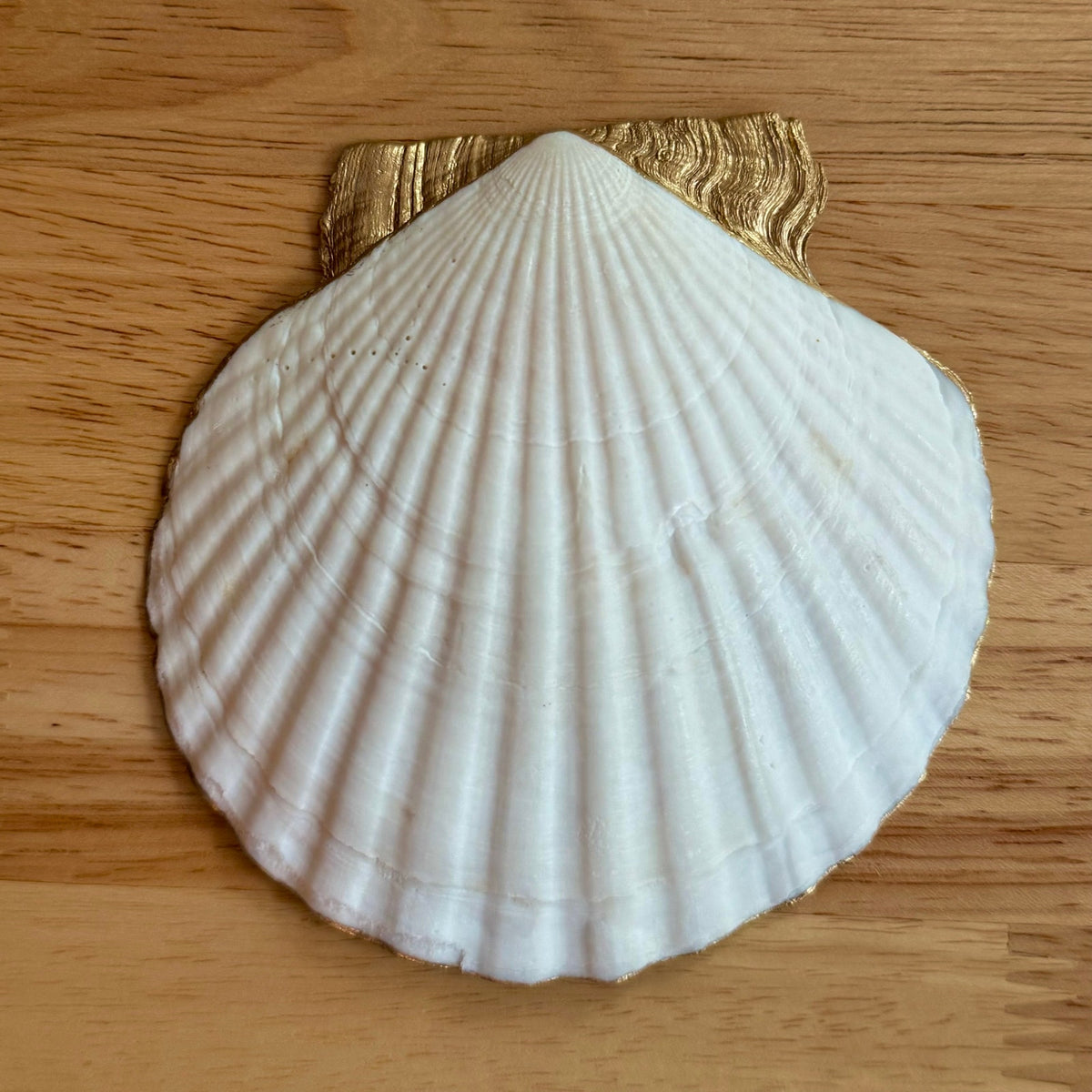 Italian lemon shell trinket dish shown from another angle
