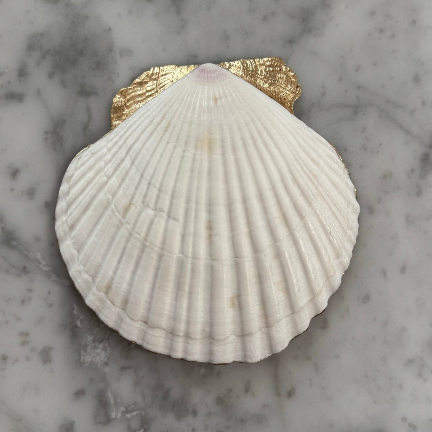 Chinoiserie Floral Shell Trinket Dish & Ring Holder Gift