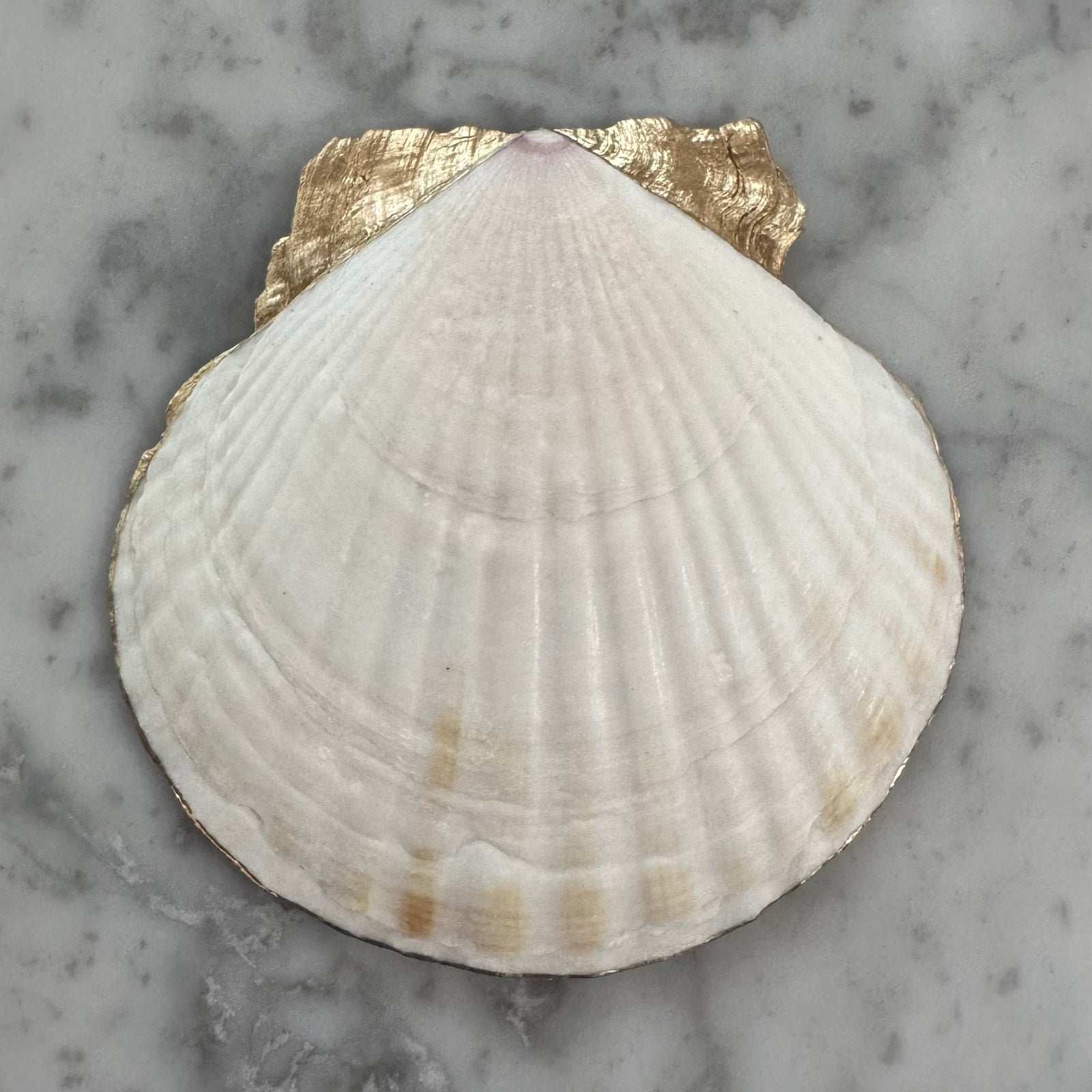 Additional view of watercolor lemon botanical shell trinket dish