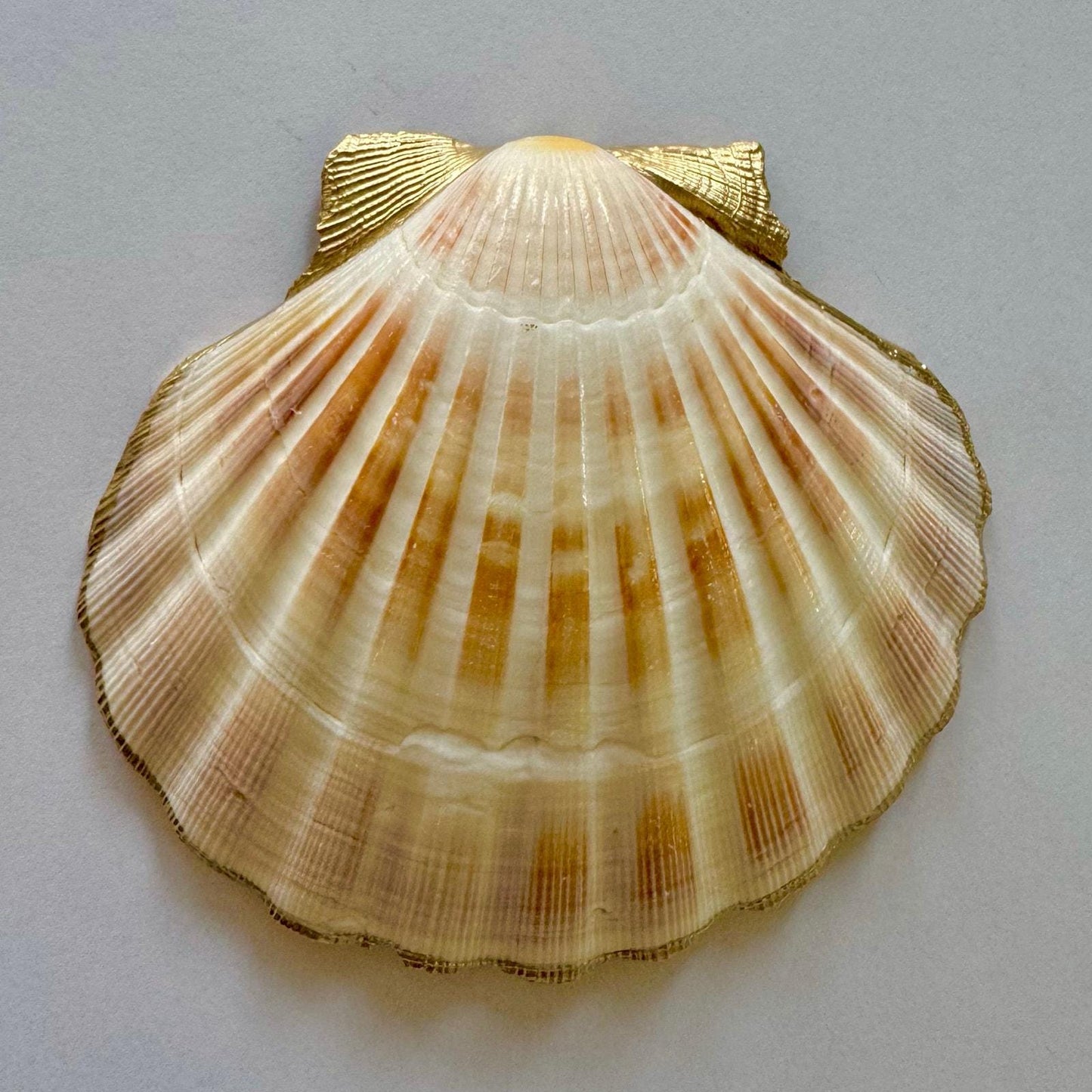 Olive Martini Scallop Shell Trinket Dish, Gold Edge Bar Cart Decor