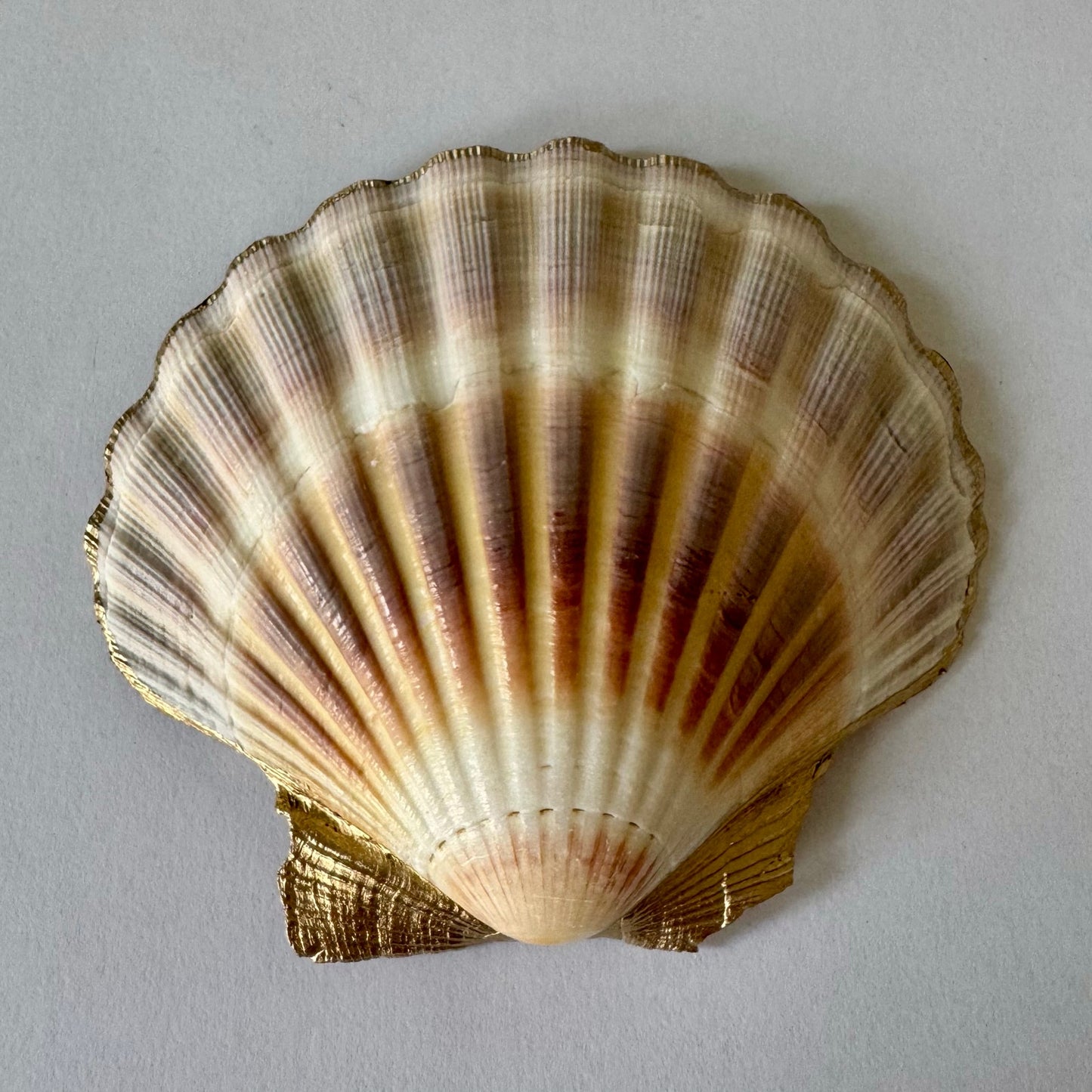 Cocktail Scallop Shell Trinket Dish, Bar Cart Decor, Hostess Gift
