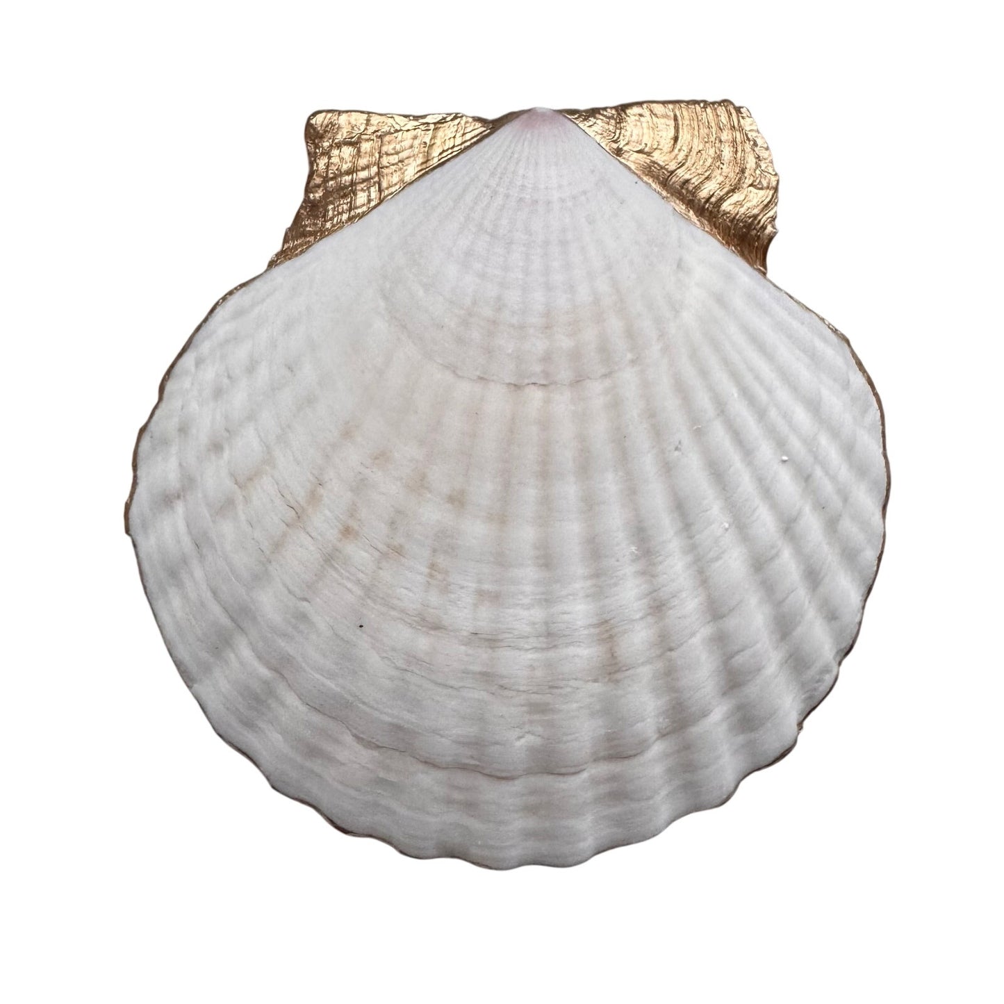 Mahjong Trinket Dish, Scallop Shell Ring Dish, Gift for Mahjong Lover