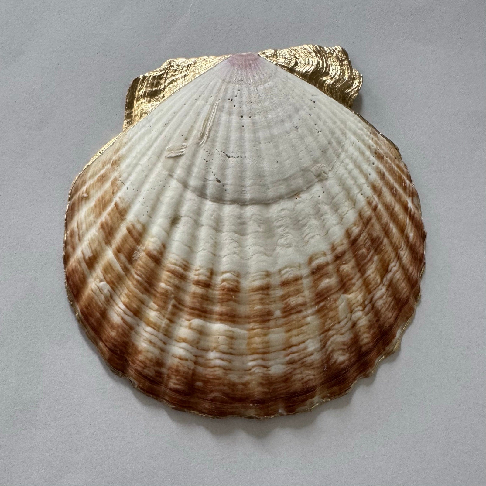 Additional view of jacobean floral shell trinket dish