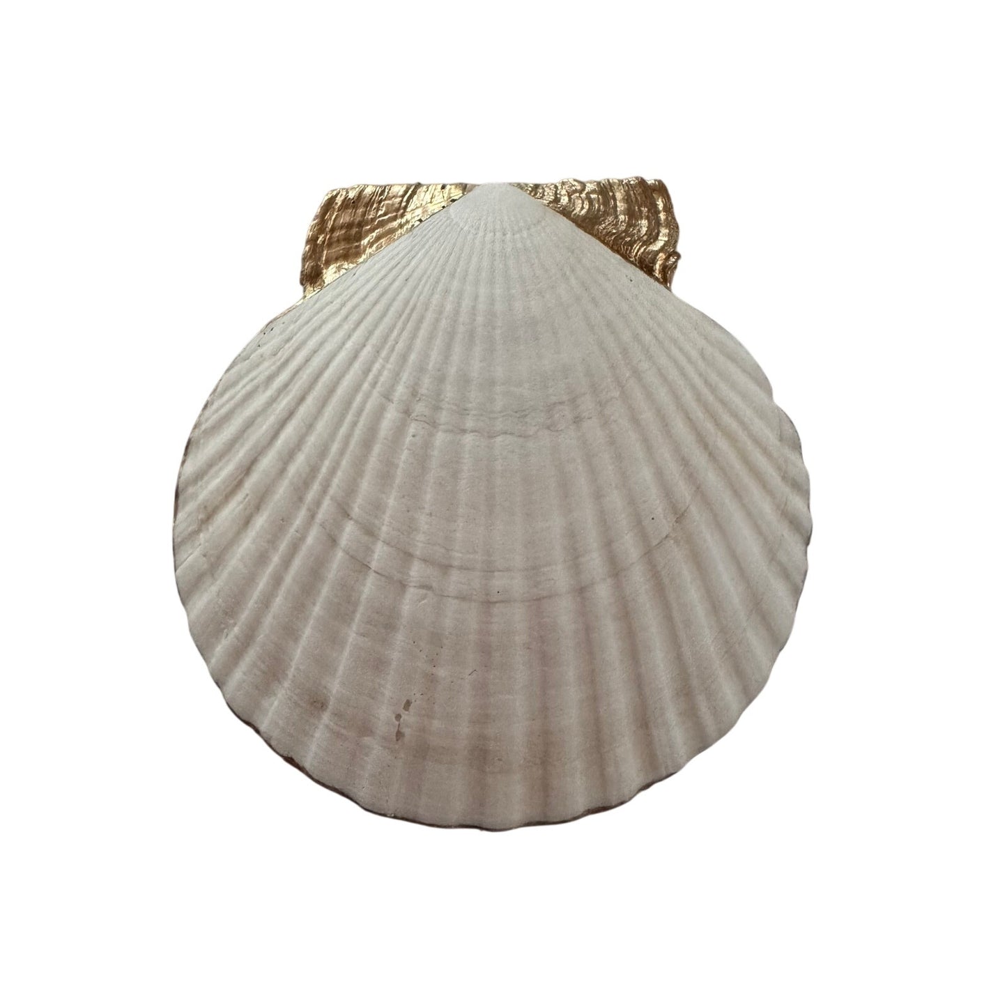 Vintage Songbird Scallop Shell Trinket Dish, Botanical Jewelry Holder