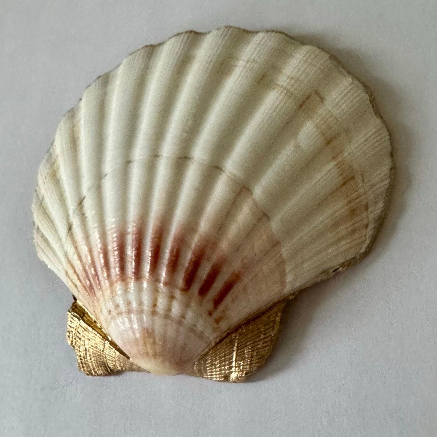 Pink and Purple Lilly Floral Seashell Trinket Dish