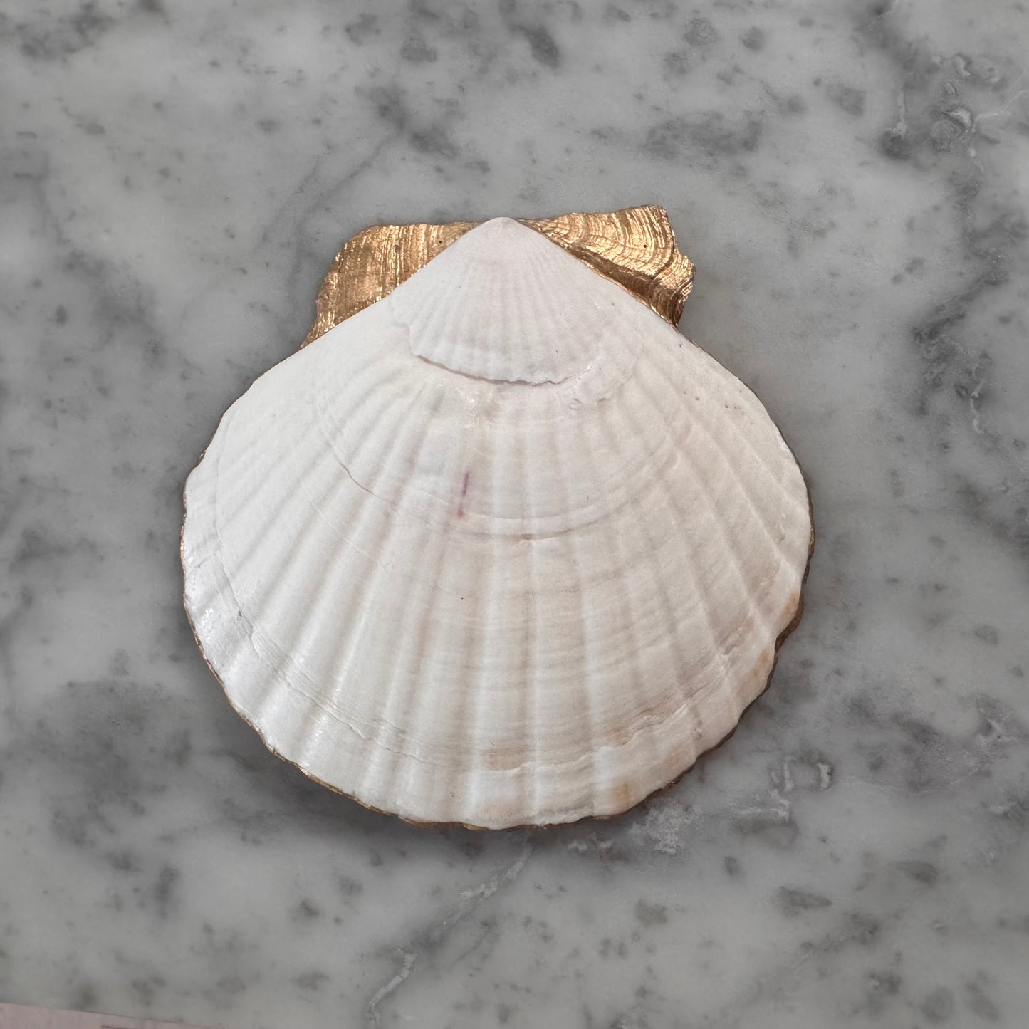 Fruit & Botanical Garden Scallop Shell Ring Dish