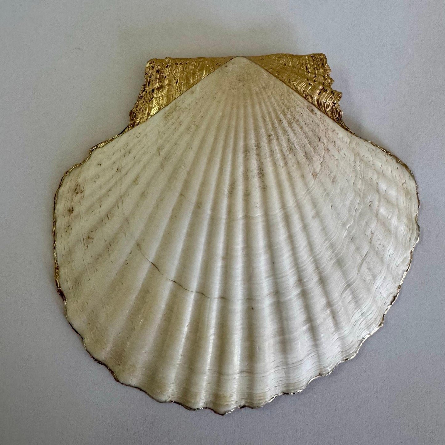 Lemon Shell Jewelry Dish, Italian Coastal Decor, Lemon Ring Holder