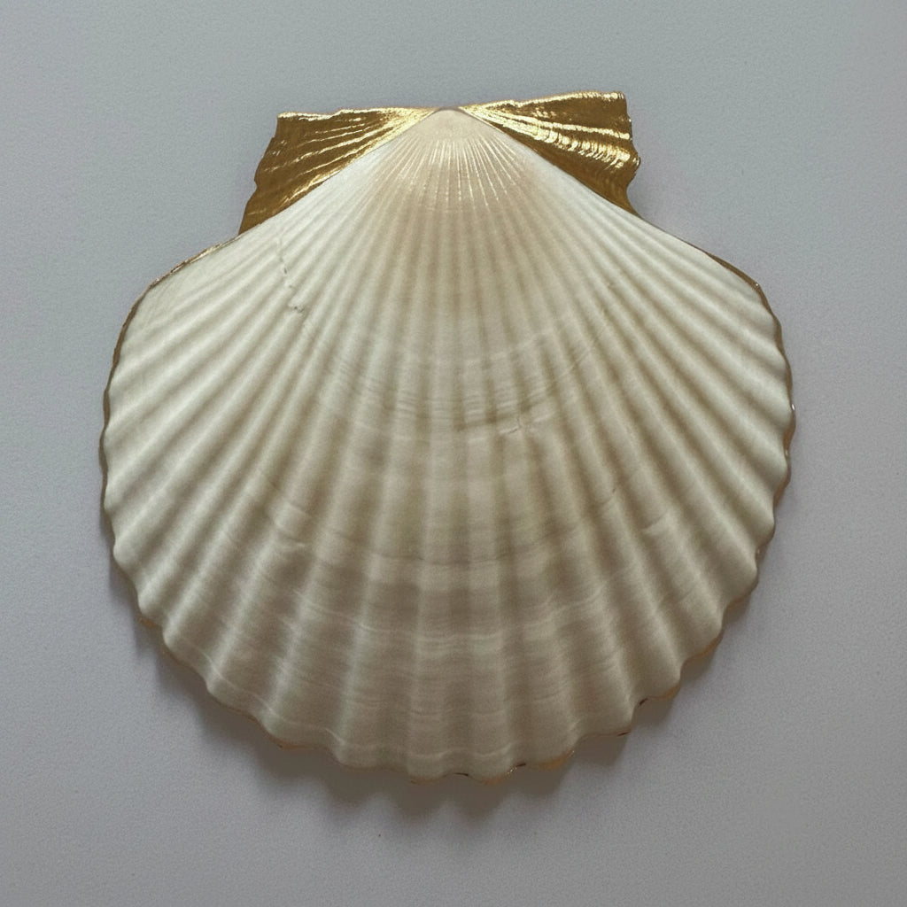 Sea Turtle & Tropical Floral Shell Trinket Dish