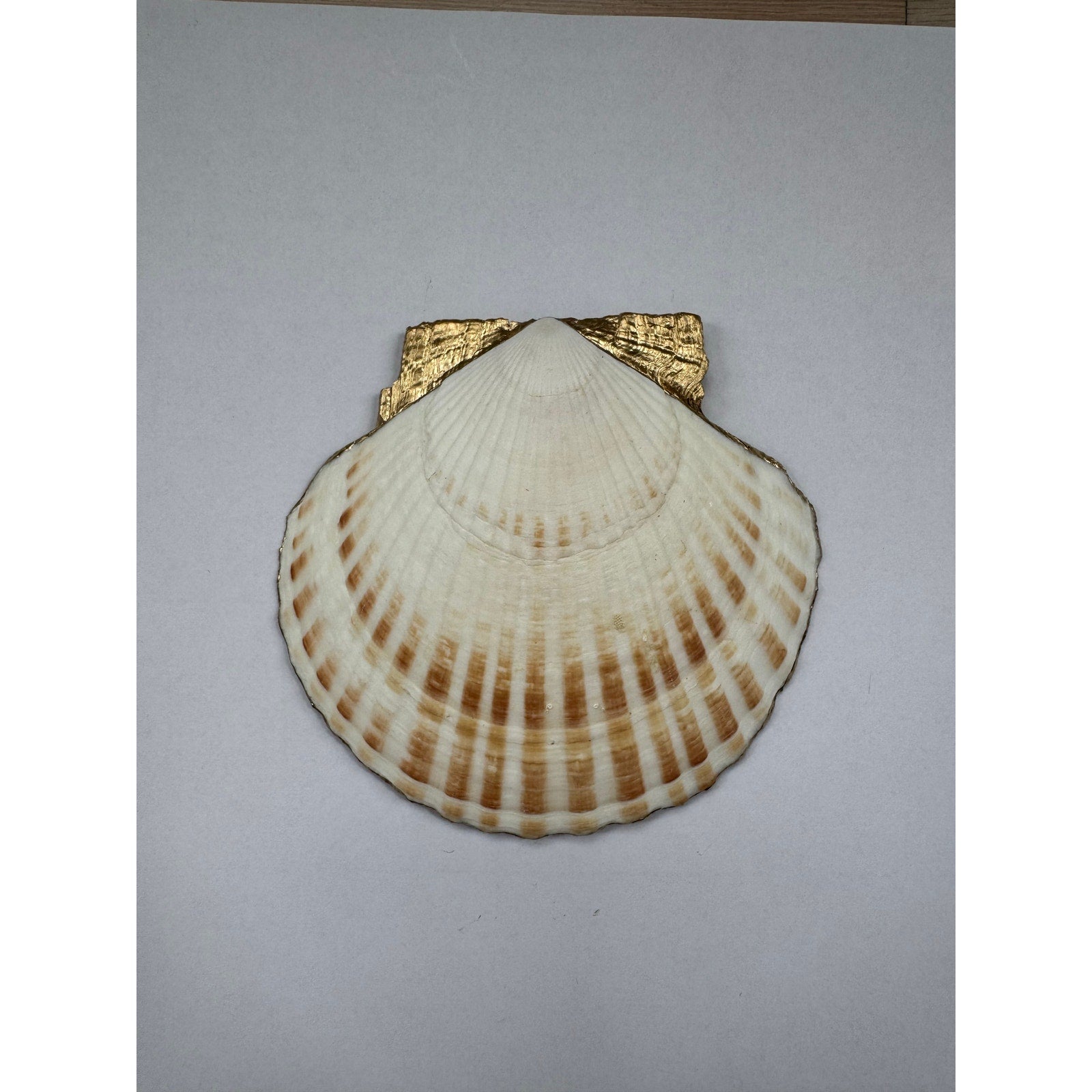 Display view of camellia floral shell trinket dish