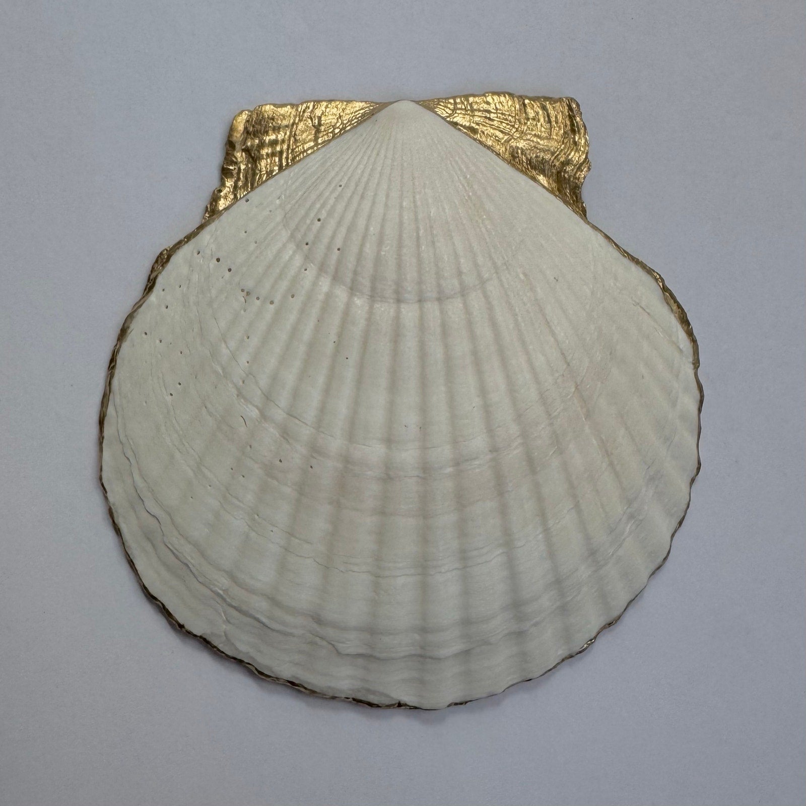 Blue toile botanical shell trinket dish shown from another angle