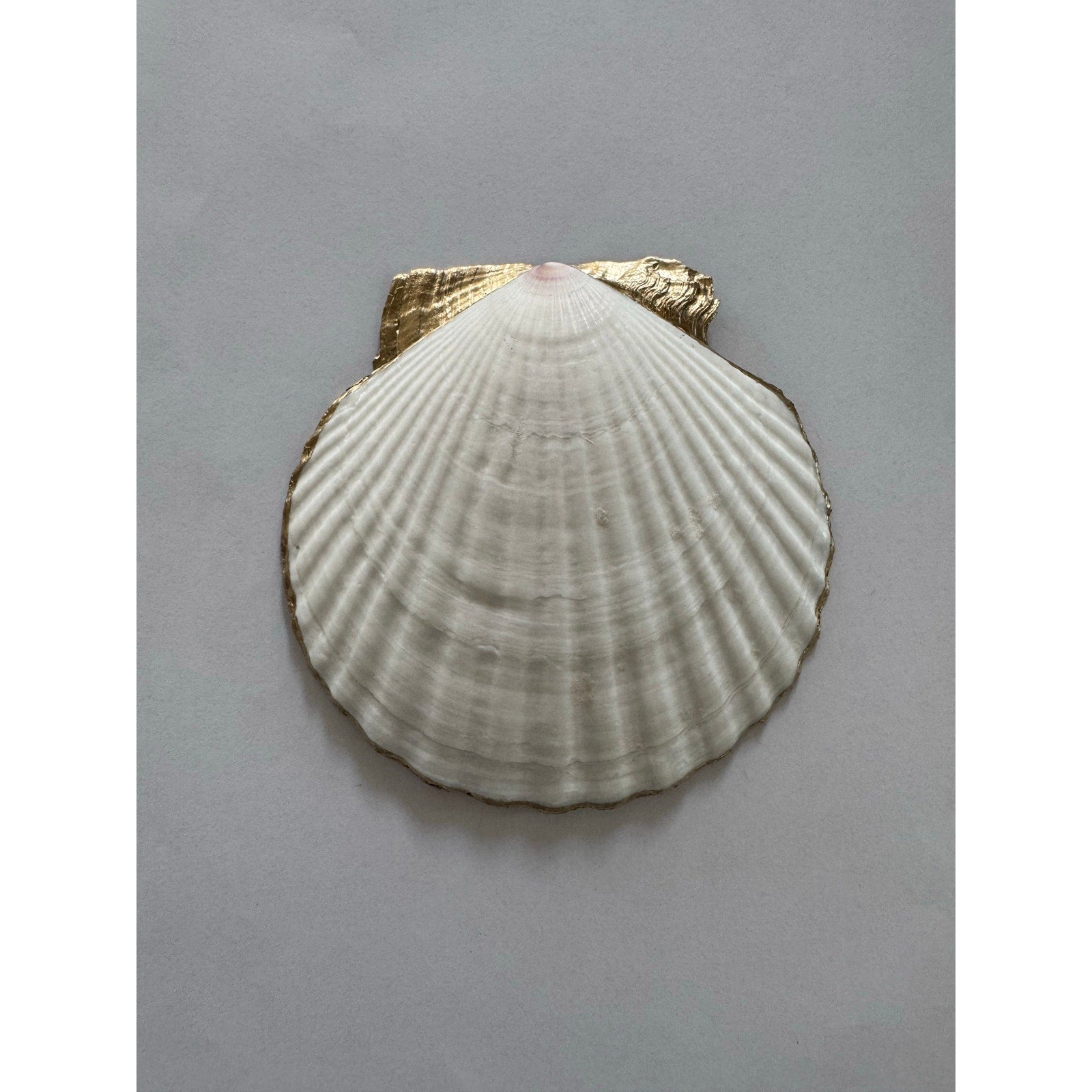 Additional view of green fern botanical shell trinket dish