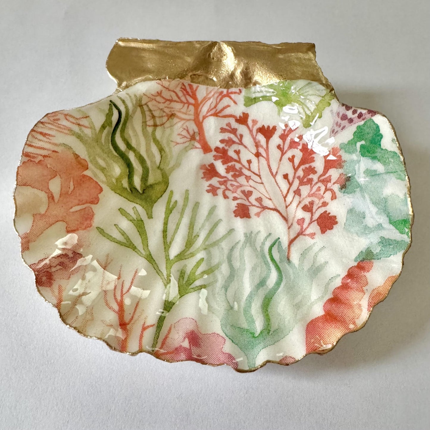 Coral Reef Seashell Trinket Dish, Coastal Decor