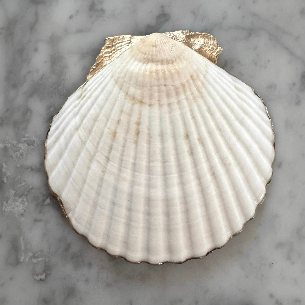 Shell Trinket Dish with Peach Scallop Design, Coastal Ring Holder