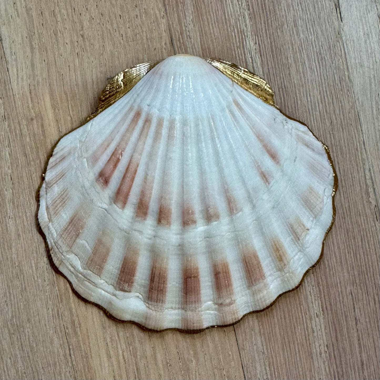 Italian Summer Shell Trinket Dish | Citrus Chinoiserie Jewelry Holder