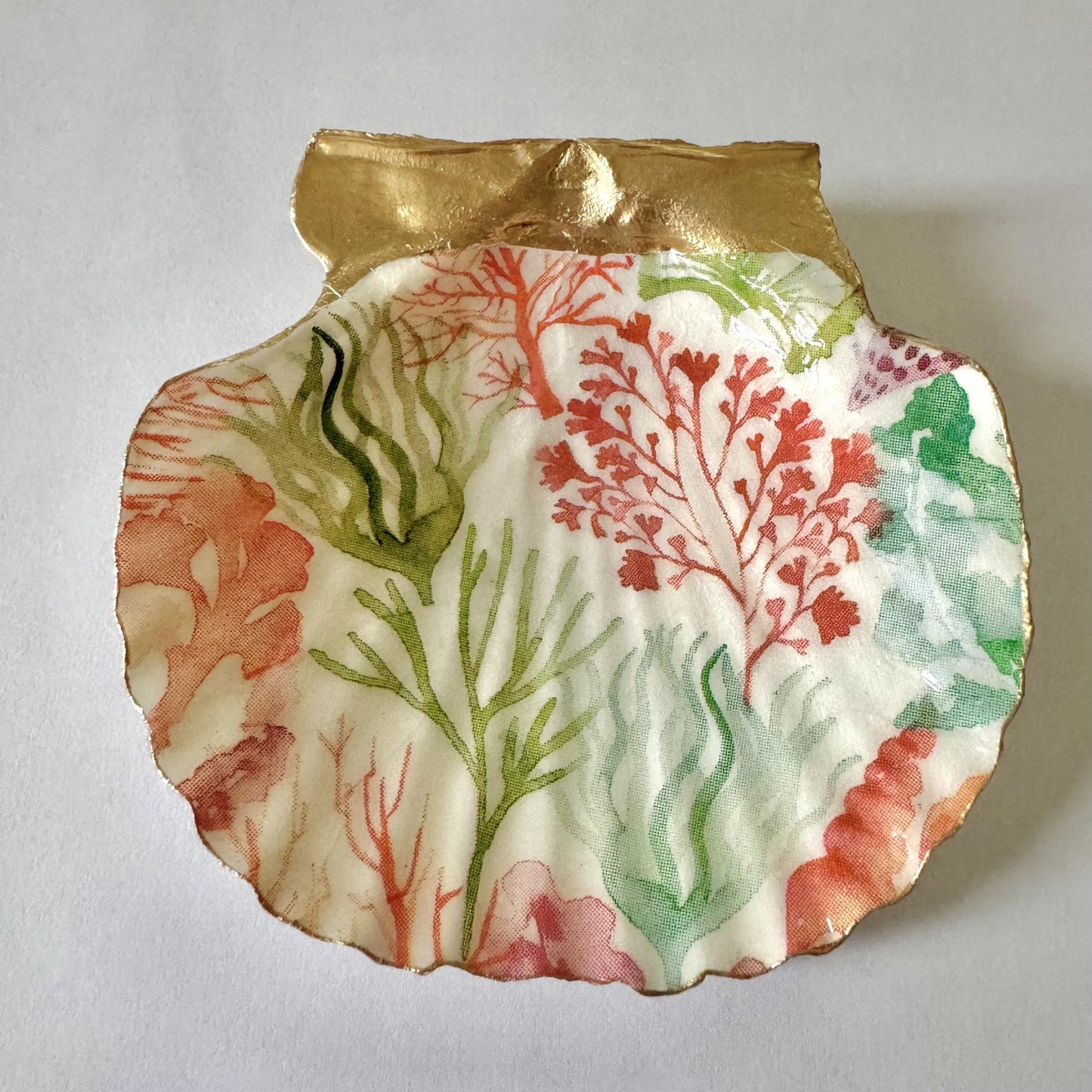 Coral Reef Seashell Trinket Dish, Coastal Decor
