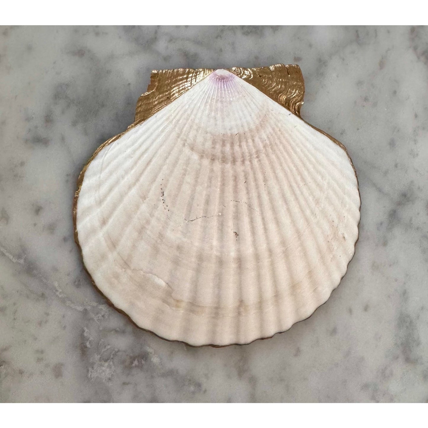 Charleston Rainbow Row Shell Ring Dish Handmade Trinket Dish Southern Coastal Gift