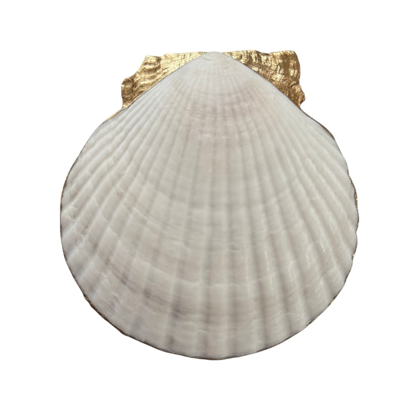 Blue Chinoiserie Shell Trinket Dish | Ring Holder | Coastal Gift