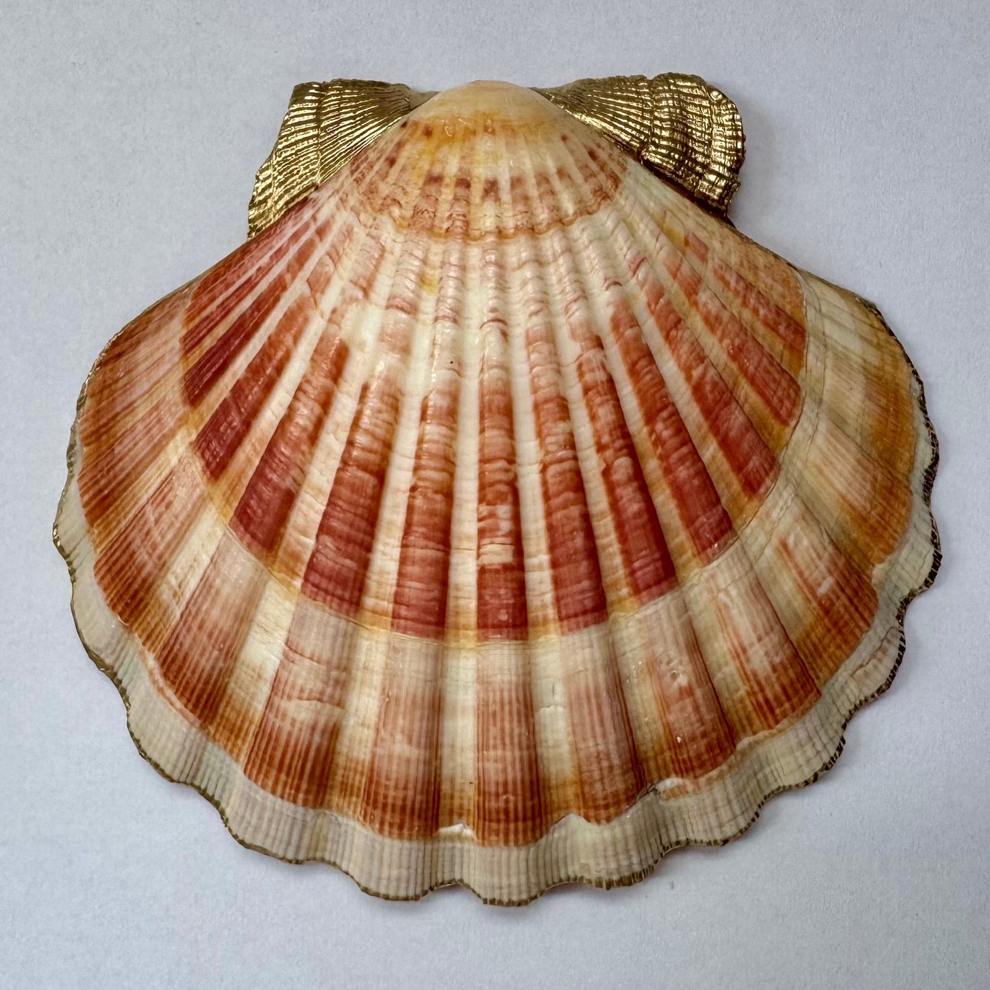 Vintage Pink Rose Floral Seashell Trinket Dish