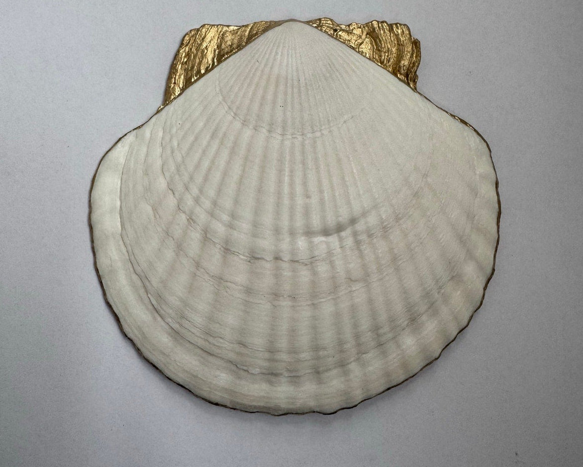 Vintage pink botanical shell trinket dish shown from another angle