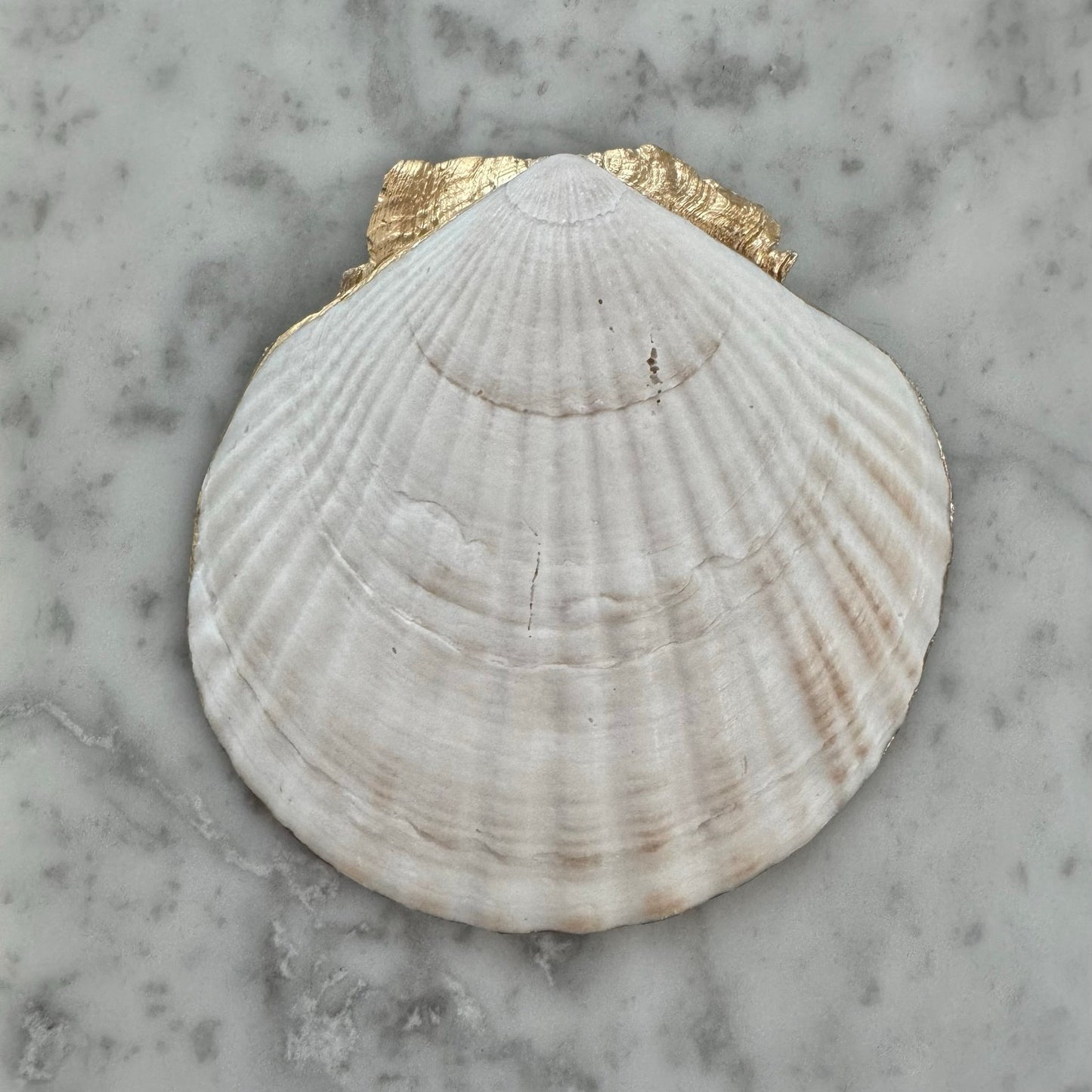 Additional view of william morris golden floral shell trinket dish