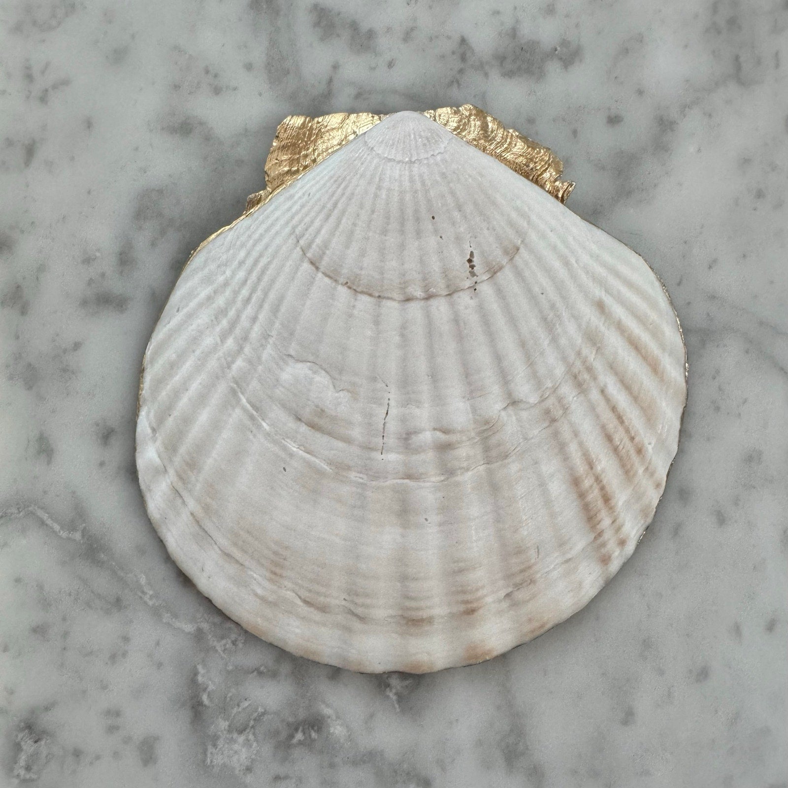 Additional view of william morris golden floral shell trinket dish