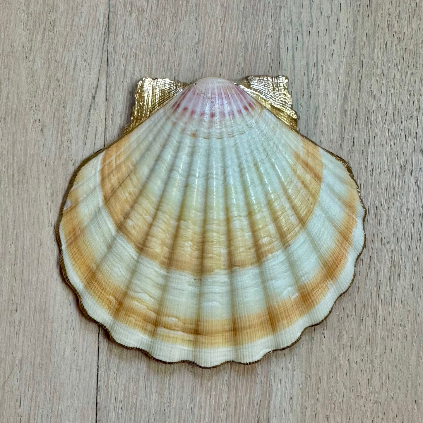 Blue Chinoiserie Shell Trinket Dish, Floral Jewelry Dish Coastal Decor