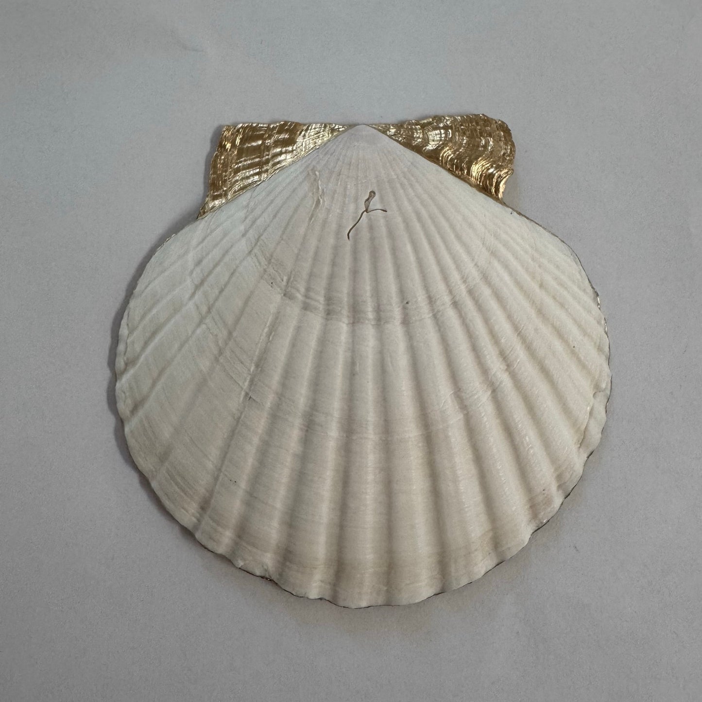 Cowboy Boot Shell Ring Dish Handmade Scallop Trinket Dish, Western Gift Country Girl