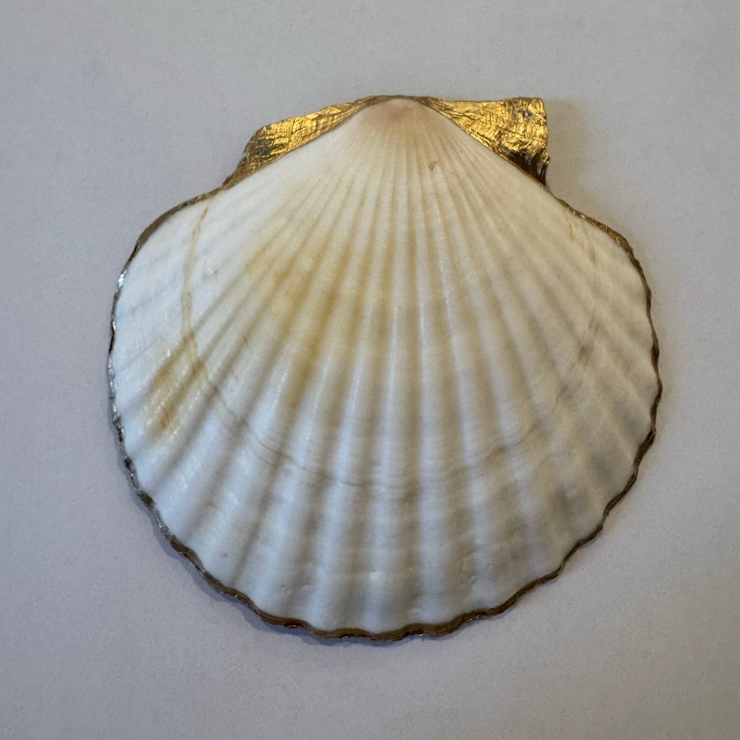Additional view of pink tulip shell trinket dish